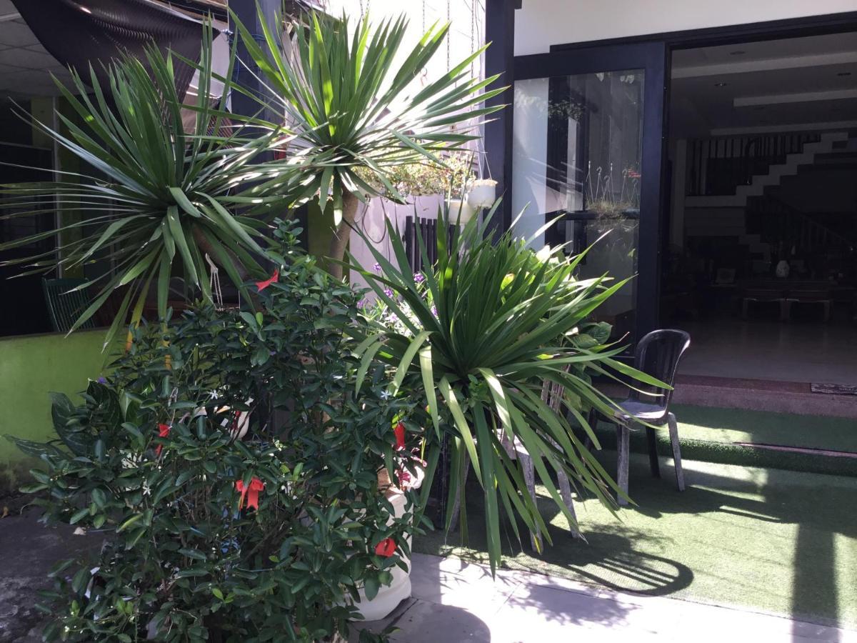 Ki No Homestay Hoi An Zewnętrze zdjęcie